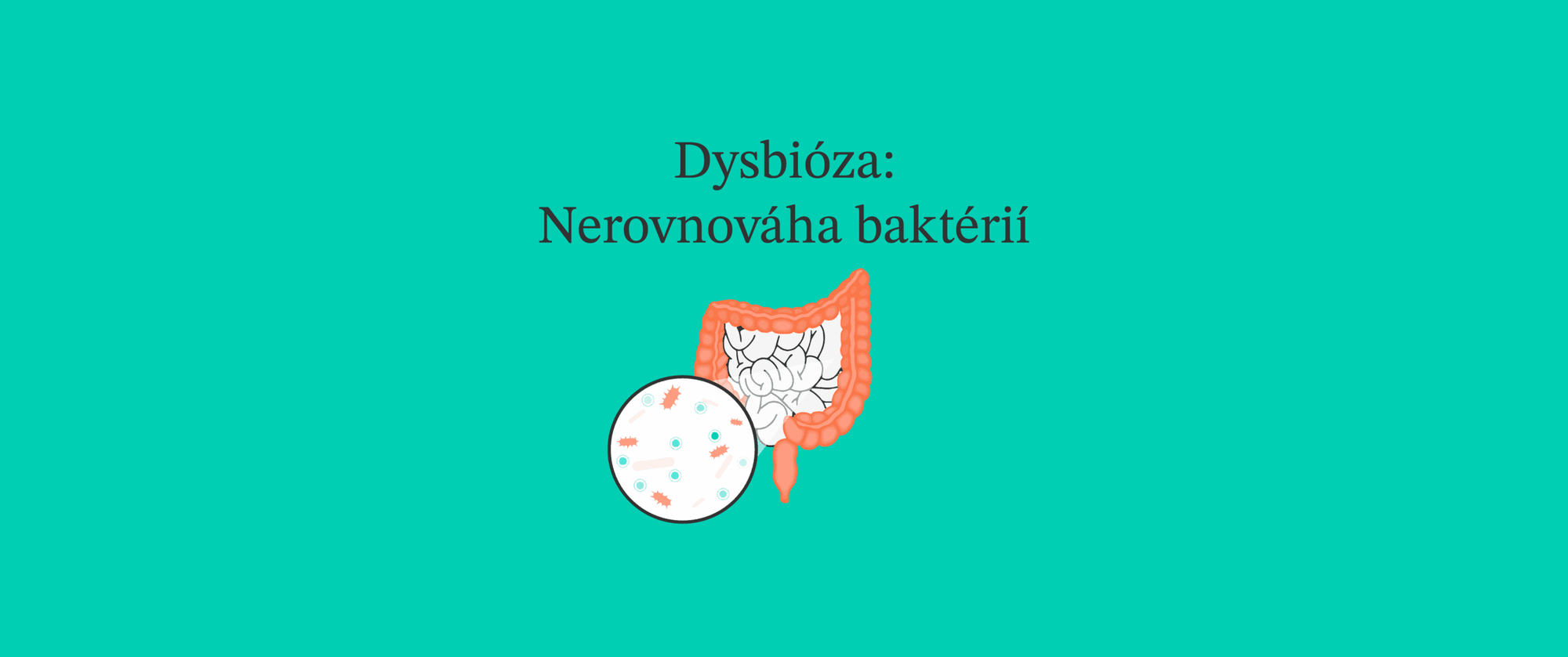 Dysbióza. Čím je spôsobená? Je možné ju zvrátiť, pomôžu probiotiká?