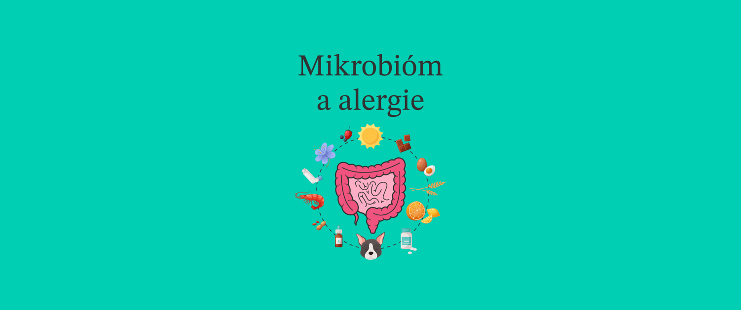 Mikrobióm a alergie