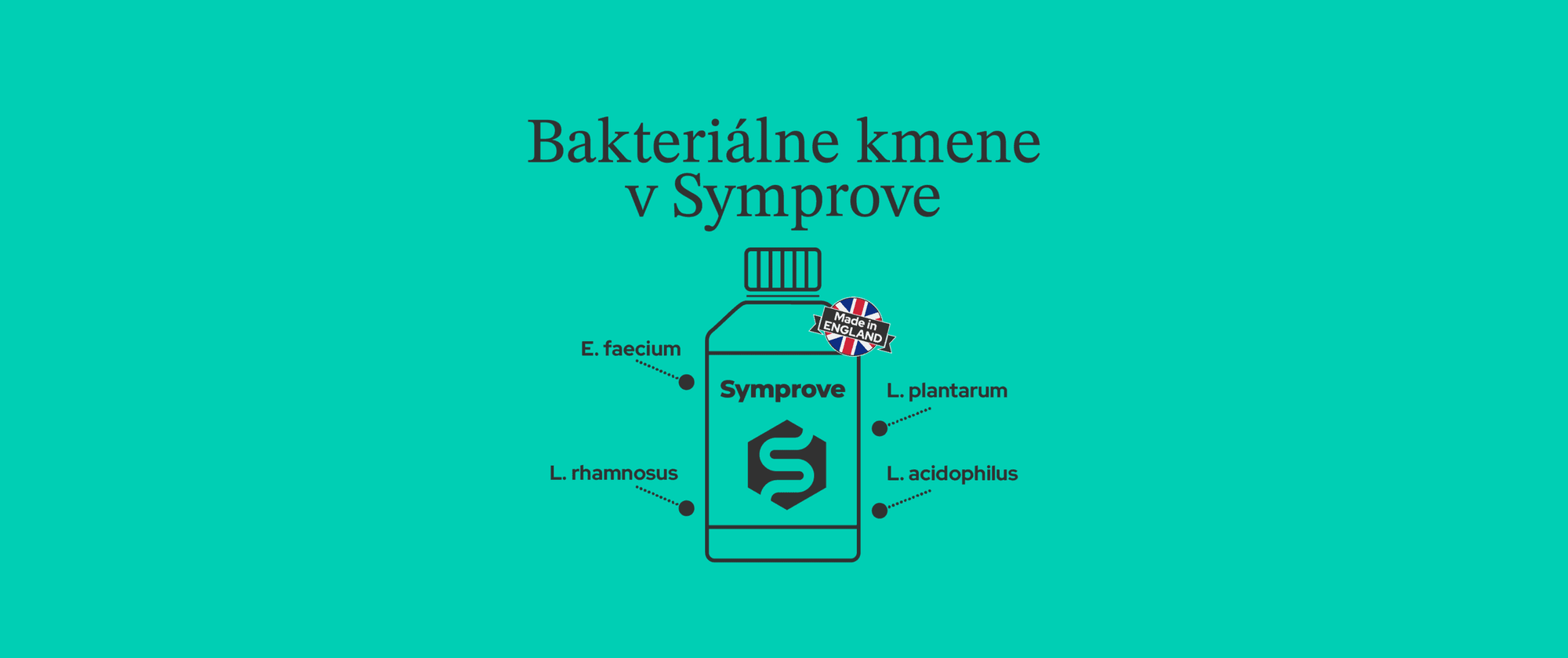 Laktobacily v Symprove: Ako si vybrať správne probiotiká, a ktoré bakteriálne kmene sú prospešné?